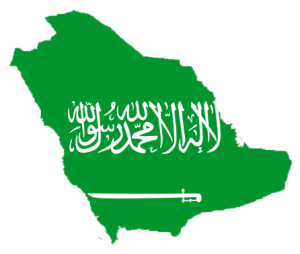News 25 feb Arabia Saudita